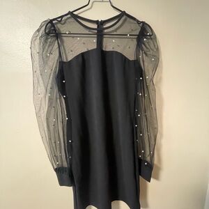 Elegant Black Dress with Sheer Sleeves